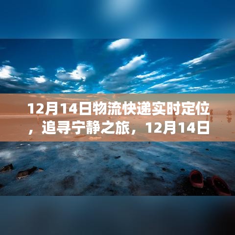 12月14日物流快遞追蹤，寧靜之旅背后的美景探險實時定位