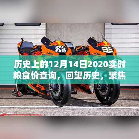回望歷史聚焦糧食價格波動，實時查詢糧食價格分析與思考
