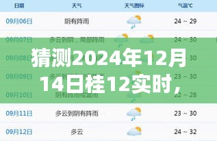 揭秘未來桂12實時動態(tài)，探尋2024年12月14日的無限可能及預(yù)測揭秘