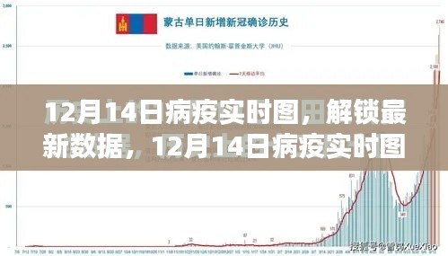 12月14日病疫實時圖，最新數(shù)據(jù)深度解析與疫情動態(tài)觀察