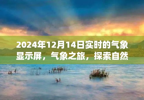 自然美景奇妙旅程