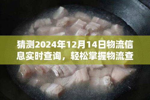 2024年12月14日物流信息實時查詢指南，掌握技巧，輕松預(yù)測與查詢