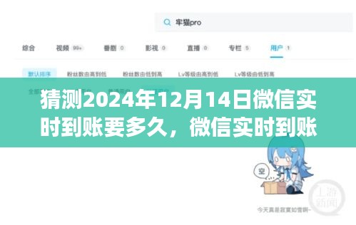 微信實時到賬功能預(yù)測評測，洞察未來到賬時效與用戶體驗洞察（2024年預(yù)測）
