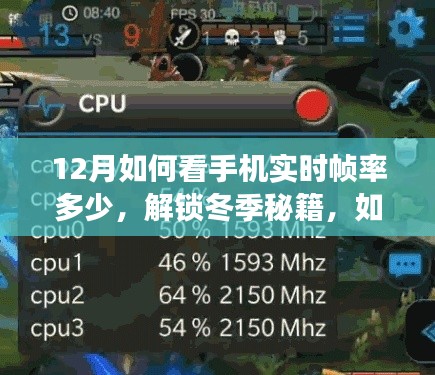 冬季秘籍揭秘，如何輕松查看手機(jī)實(shí)時(shí)幀率在寒冷的十二月？