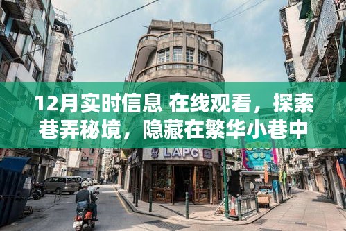 探索巷弄秘境，12月實(shí)時信息在線觀看，特色小店新體驗(yàn)