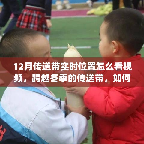跨越冬季，實時掌握傳送帶學(xué)習(xí)節(jié)奏，自信迎接變化，成就夢想之旅視頻教程
