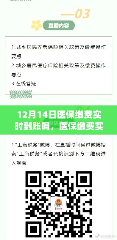 12月14日醫(yī)保繳費(fèi)實(shí)時(shí)到賬問題探討，實(shí)時(shí)到賬情況分析