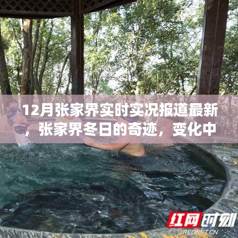 揭秘張家界冬日的奇跡，實(shí)時(shí)實(shí)況報(bào)道下的自信之光與變化中的學(xué)習(xí)力量