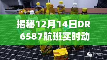 揭秘，DR 6587航班12月14日實(shí)時(shí)動(dòng)態(tài)與深度飛行之旅解析