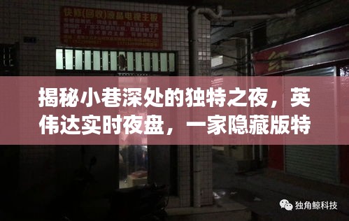 英偉達(dá)實(shí)時(shí)夜盤，小巷深處隱藏特色小店的奇妙故事揭秘