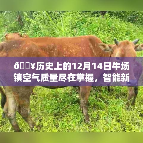 智能科技重塑生活品質(zhì)，牛場鎮(zhèn)空氣質(zhì)量智能監(jiān)控，體驗(yàn)科技的力量