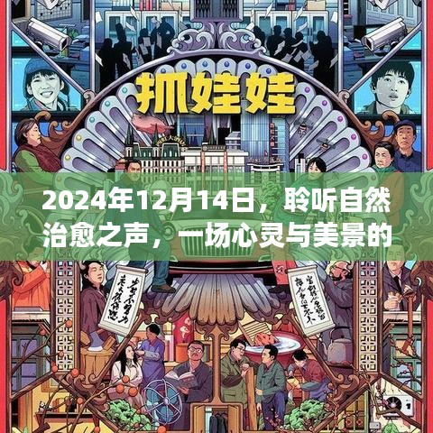 心靈之旅，聆聽自然治愈之聲，探尋美景于心靈深處（2024年12月14日）