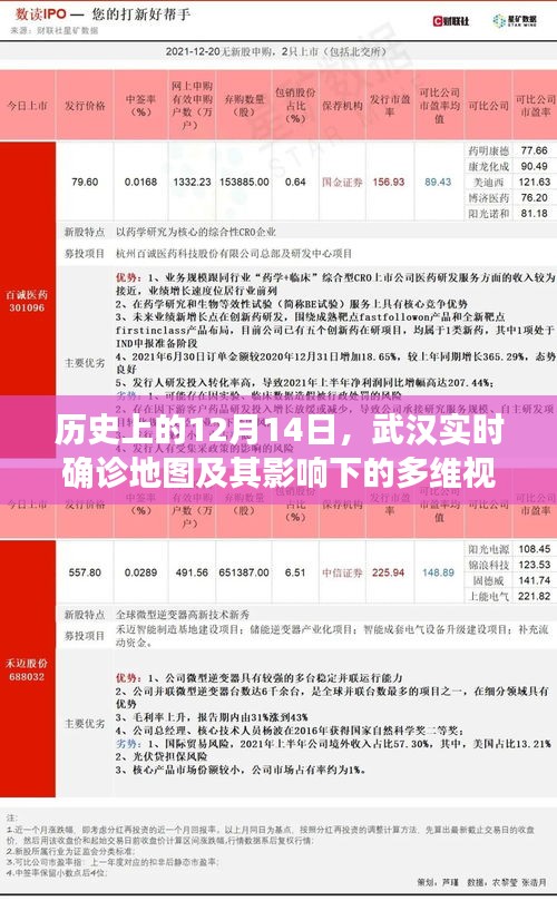 武漢實(shí)時(shí)確診地圖，歷史視角下的多維視角分析及其影響