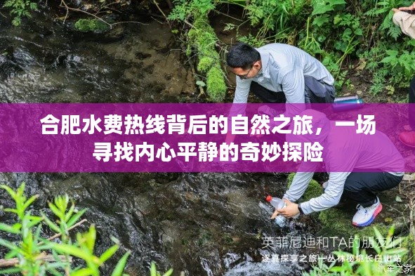 合肥水費熱線背后的自然之旅，探尋內(nèi)心平靜的奇妙旅程
