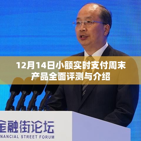 12月14日小額實(shí)時(shí)支付周末產(chǎn)品全面評測與詳解