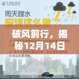 揭秘，如何在冬季提升一千米配速秘籍，破風(fēng)前行指南（12月14日版）