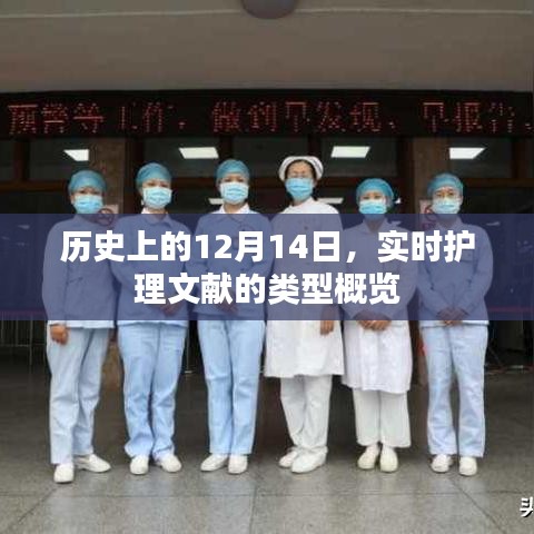 歷史上的護(hù)理文獻(xiàn)概覽，實(shí)時(shí)護(hù)理文獻(xiàn)類型概覽（12月14日）