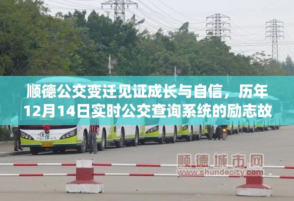 順德公交成長歷程，見證變遷與自信，實時查詢系統(tǒng)背后的勵志故事
