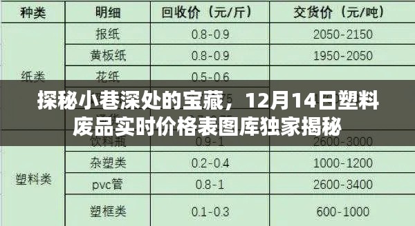獨(dú)家揭秘，小巷深處的寶藏與塑料廢品實(shí)時(shí)價(jià)格表圖庫(kù)探秘（12月14日）