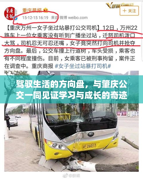 駕馭生活的方向盤，肇慶公交的學(xué)習(xí)與成長之旅