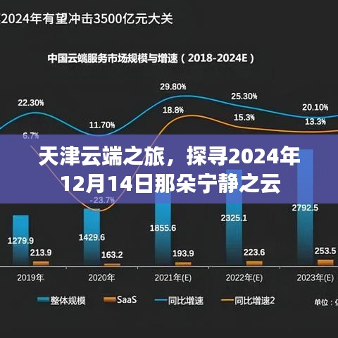 天津云端之旅，探尋寧?kù)o之云于2024年12月14日綻放的魅力