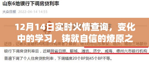 燎原之火，實(shí)時火情查詢與變化中的學(xué)習(xí)鑄就自信
