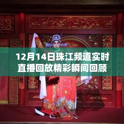 12月14日珠江頻道直播精彩瞬間回顧與實時回放
