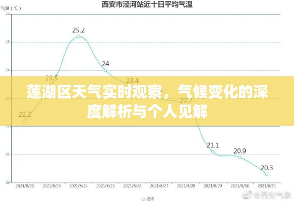 蓮湖區(qū)天氣實時觀察與氣候變化深度解析及個見