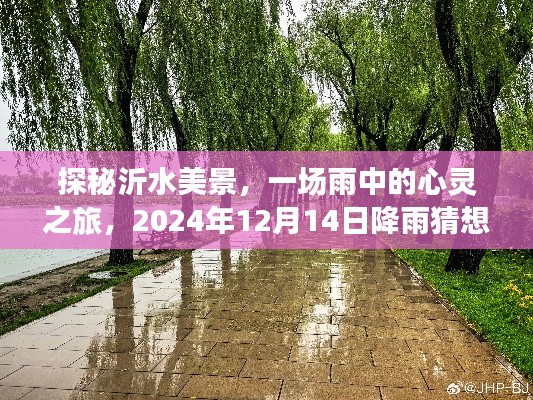 雨中探秘沂水美景，心靈之旅的奇妙體驗(yàn)（2024年12月14日降雨猜想）