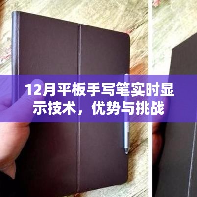 12月平板手寫筆技術，實時顯示的優(yōu)勢與挑戰(zhàn)