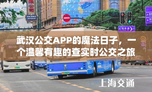 武漢公交APP的魔法時刻，實(shí)時公交查詢之旅的溫馨體驗(yàn)