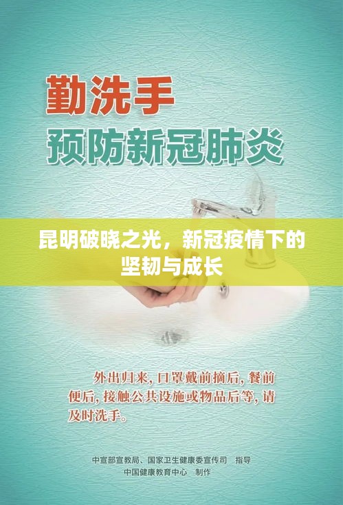 昆明破曉之光，疫情下的堅(jiān)韌與成長之路