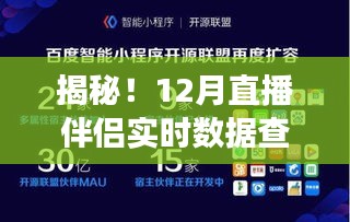 掌握流量密碼，揭秘12月直播伴侶實時數(shù)據(jù)查看全攻略，小紅書直播數(shù)據(jù)深度解析