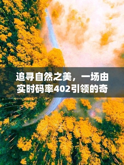 追尋自然之美，實(shí)時(shí)碼率402引領(lǐng)的奇妙探索之旅