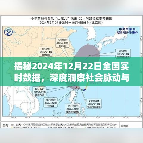 揭秘，全國實(shí)時(shí)數(shù)據(jù)深度洞察，揭示社會脈動與經(jīng)濟(jì)發(fā)展趨勢（2024年12月22日）