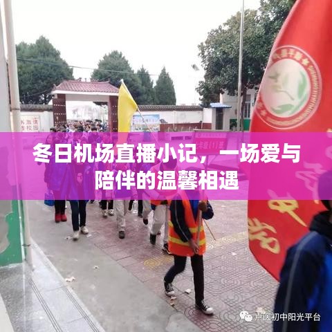 冬日機(jī)場直播，愛與陪伴的溫馨邂逅