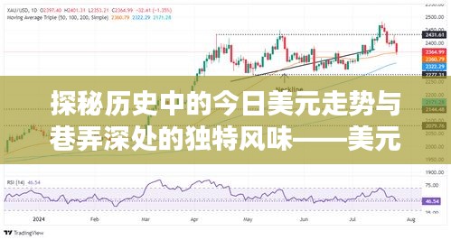 美元走勢(shì)與小巷美食的雙重魅力，歷史走勢(shì)與獨(dú)特風(fēng)味探秘
