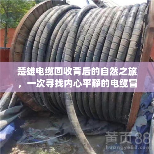 光明磊落 第4頁