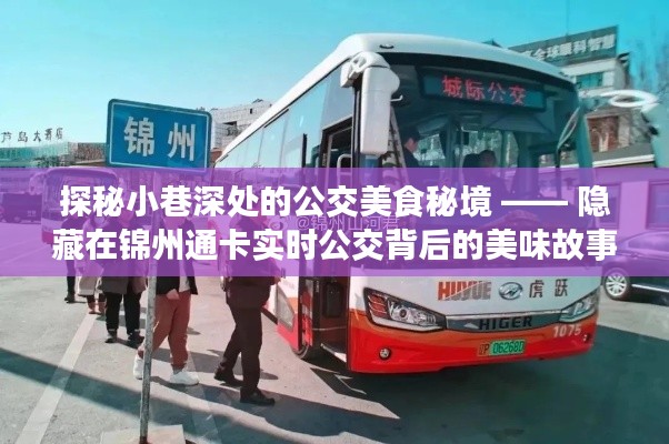 探秘公交美食秘境，錦州通卡實(shí)時(shí)公交背后的美味故事
