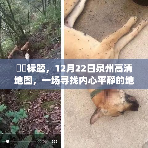 泉州高清地圖的心靈逃離之旅，尋找內(nèi)心的平靜與寧靜之地