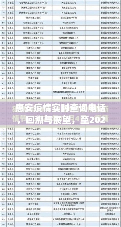 惠安疫情實(shí)時(shí)查詢電話，回溯與展望，至2024年抗疫歷程與深遠(yuǎn)影響