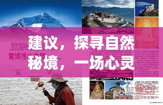 自然秘境探尋，心靈之旅的啟程與發(fā)現(xiàn)之旅