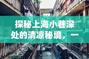 探秘上海小巷深處的清涼秘境，高溫中的特色小店之旅