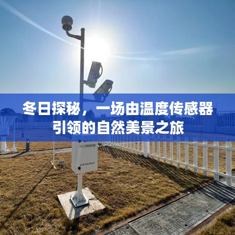 冬日探秘，跟隨溫度傳感器領略自然美景之旅