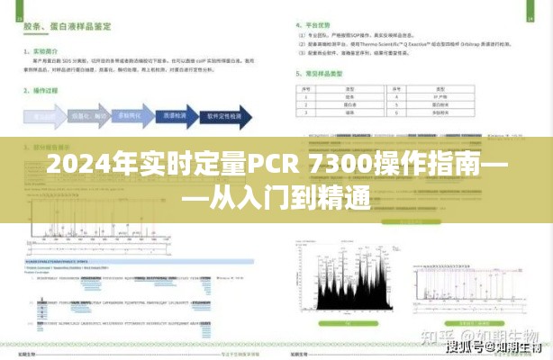 2024年實(shí)時(shí)定量PCR 7300系統(tǒng)操作手冊，從基礎(chǔ)入門到高級應(yīng)用指南