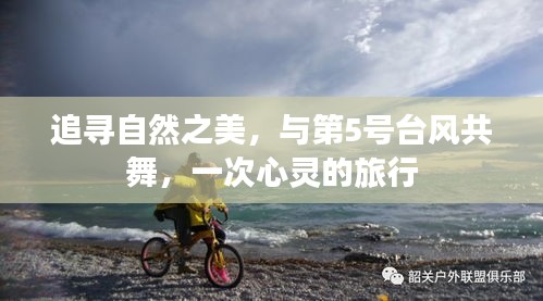 追尋自然之美，與臺(tái)風(fēng)共舞的心靈之旅