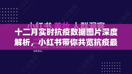 十二月抗疫數(shù)據(jù)深度解析，小紅書帶你實時了解最新進(jìn)展