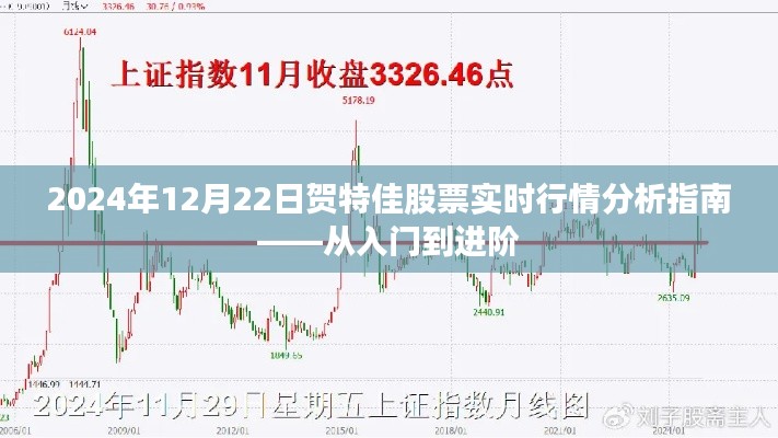 2024年賀特佳股票實時行情分析指南，入門到進階詳解