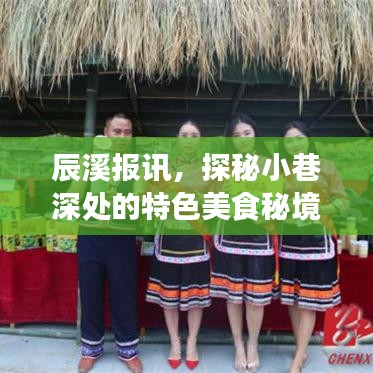 辰溪美食探秘，小巷深處的特色美食秘境之旅（12月22日）