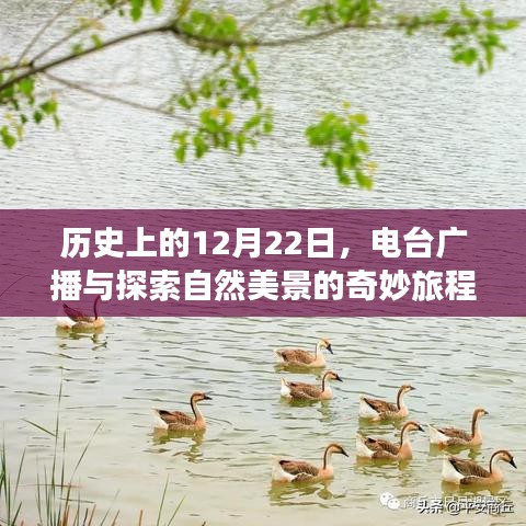 江南煙雨斷橋殤 第3頁